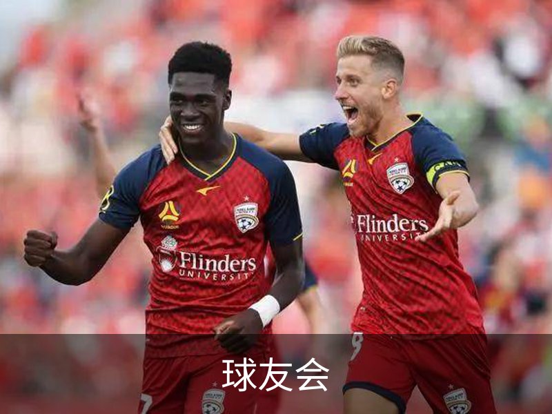 球友会简介